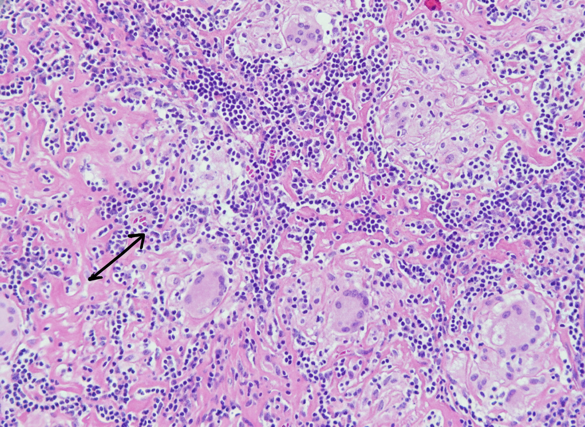 Image for question 1