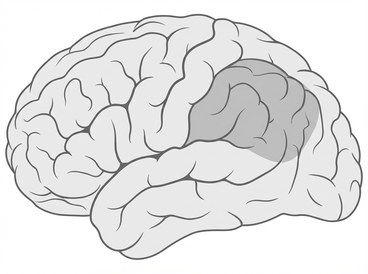 Image for question 63