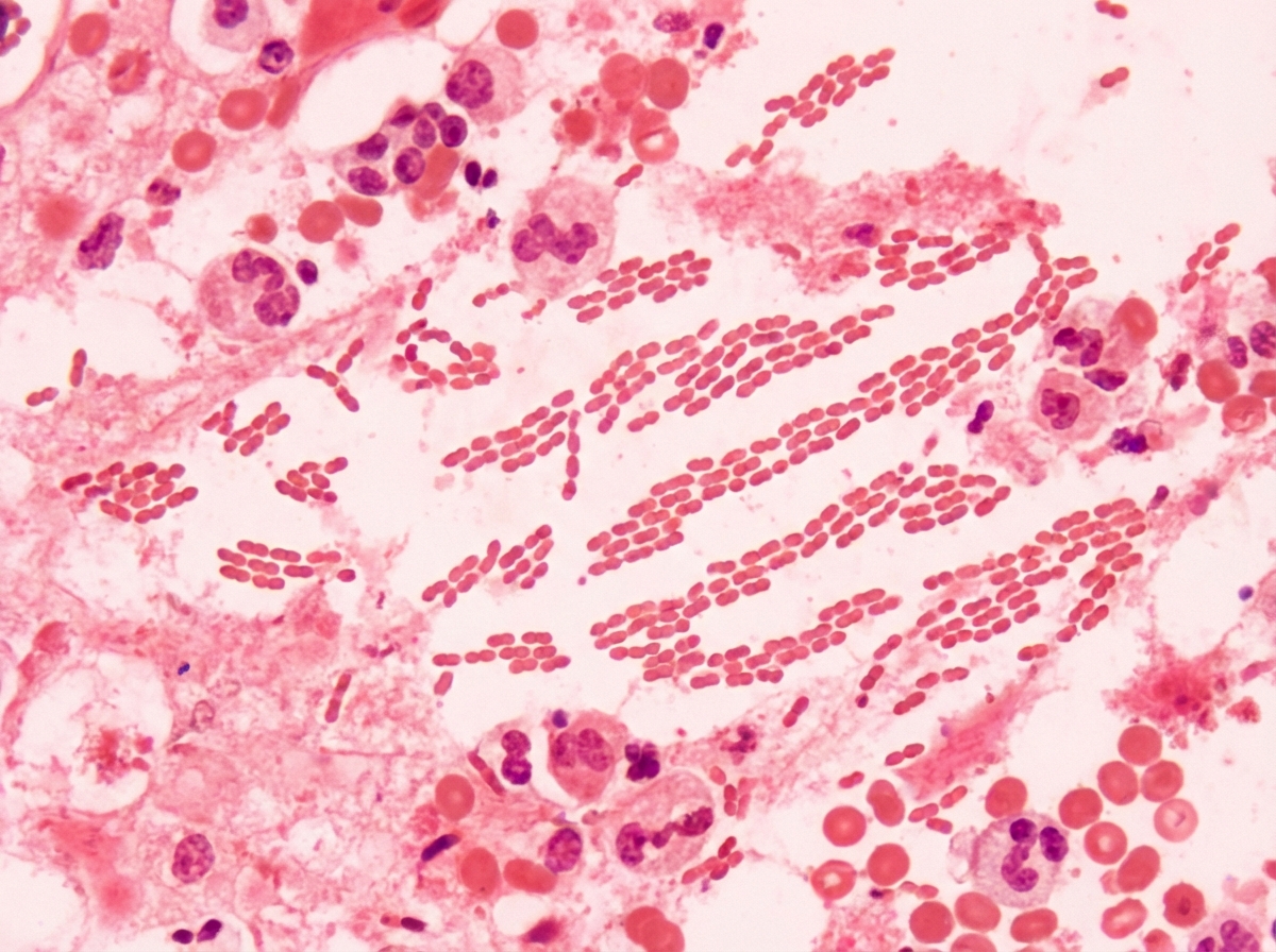 Image for question 4