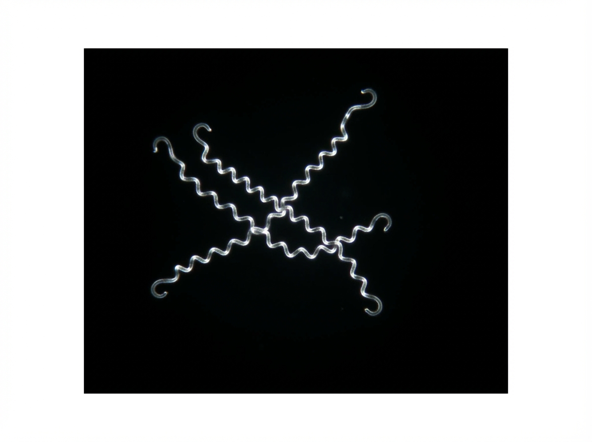 Image for question 58