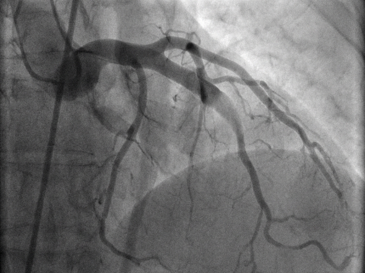 Image for question 8