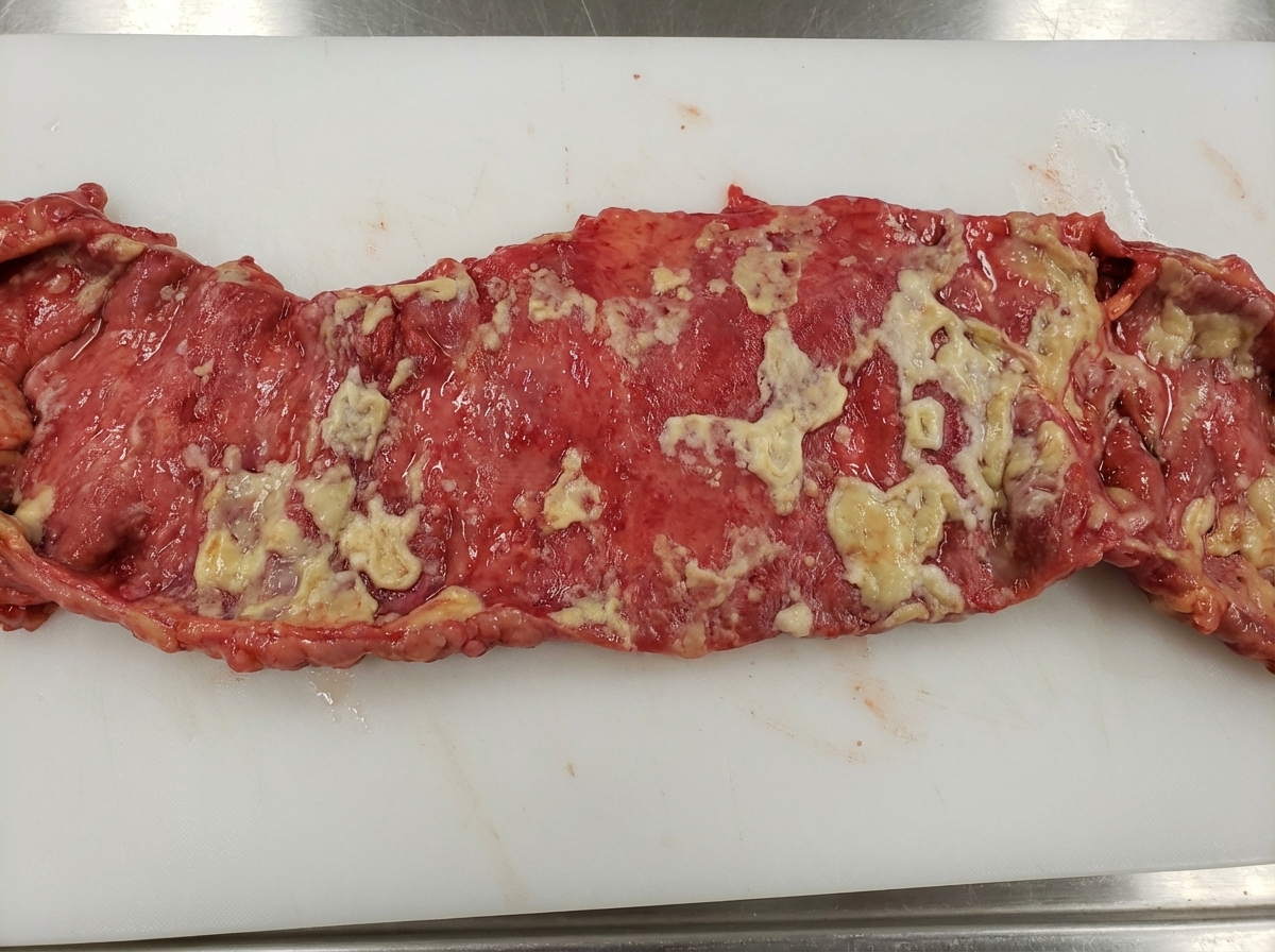 Image for question 14