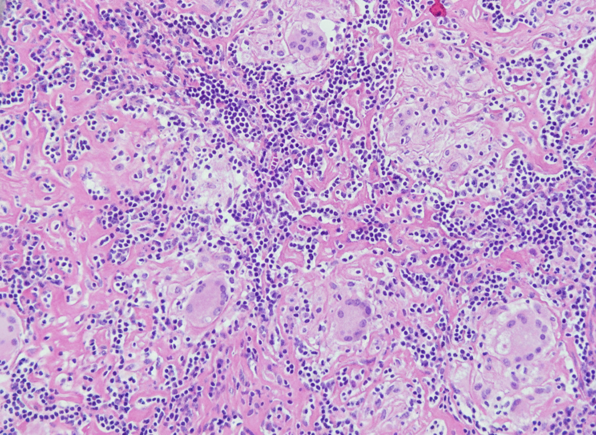 Image for question 11