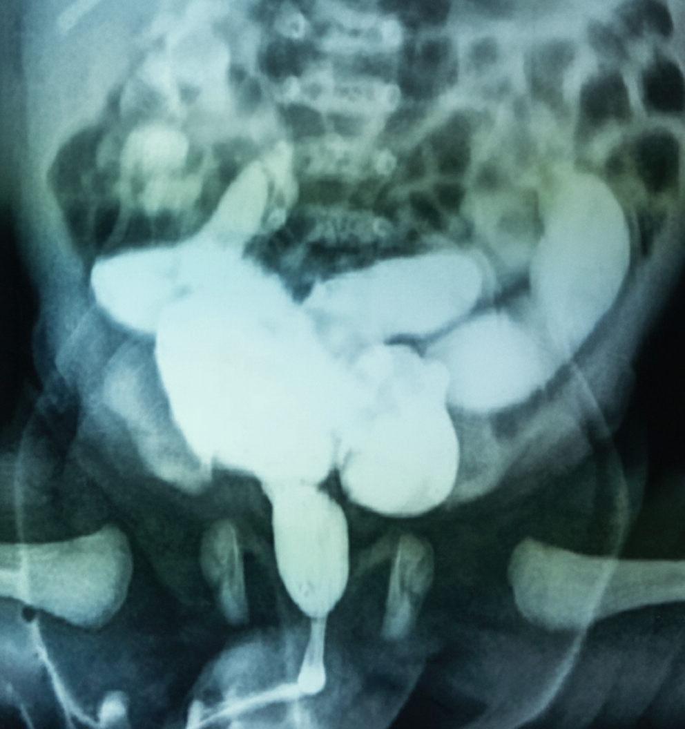 Image for question 249