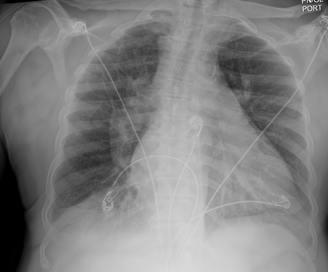 Image for question 24