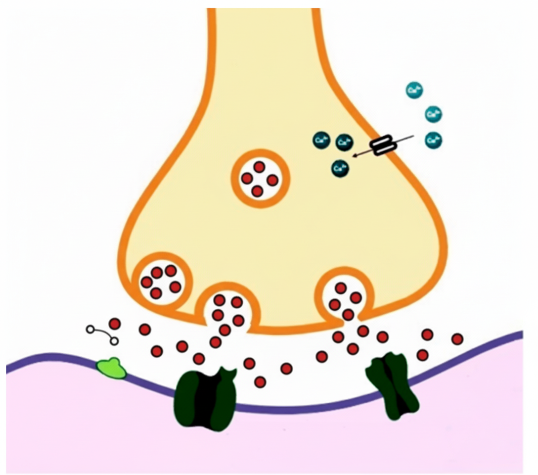 Image for question 9