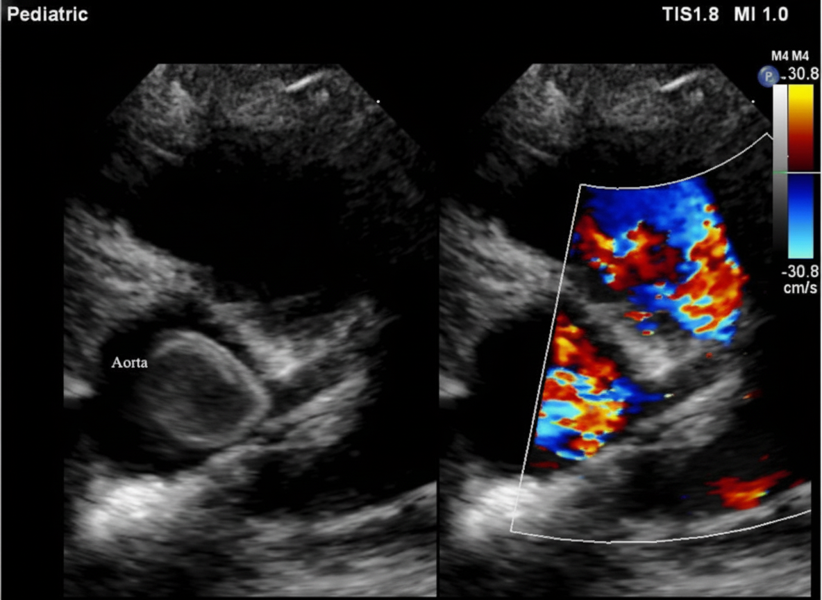 Image for question 288