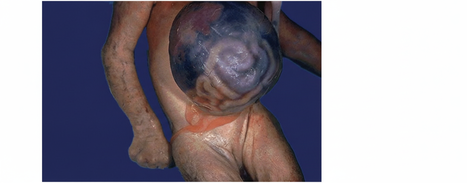 Image for question 267