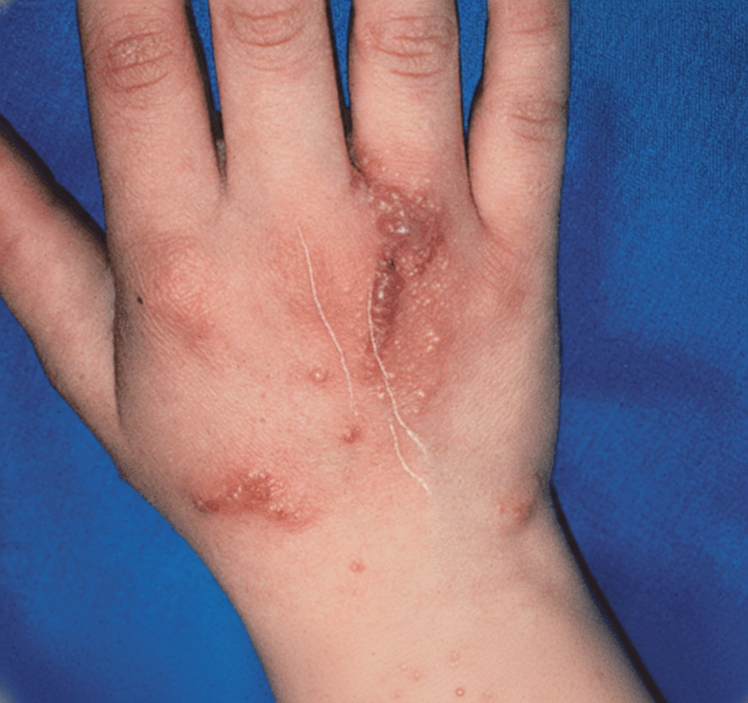 Image for question 21