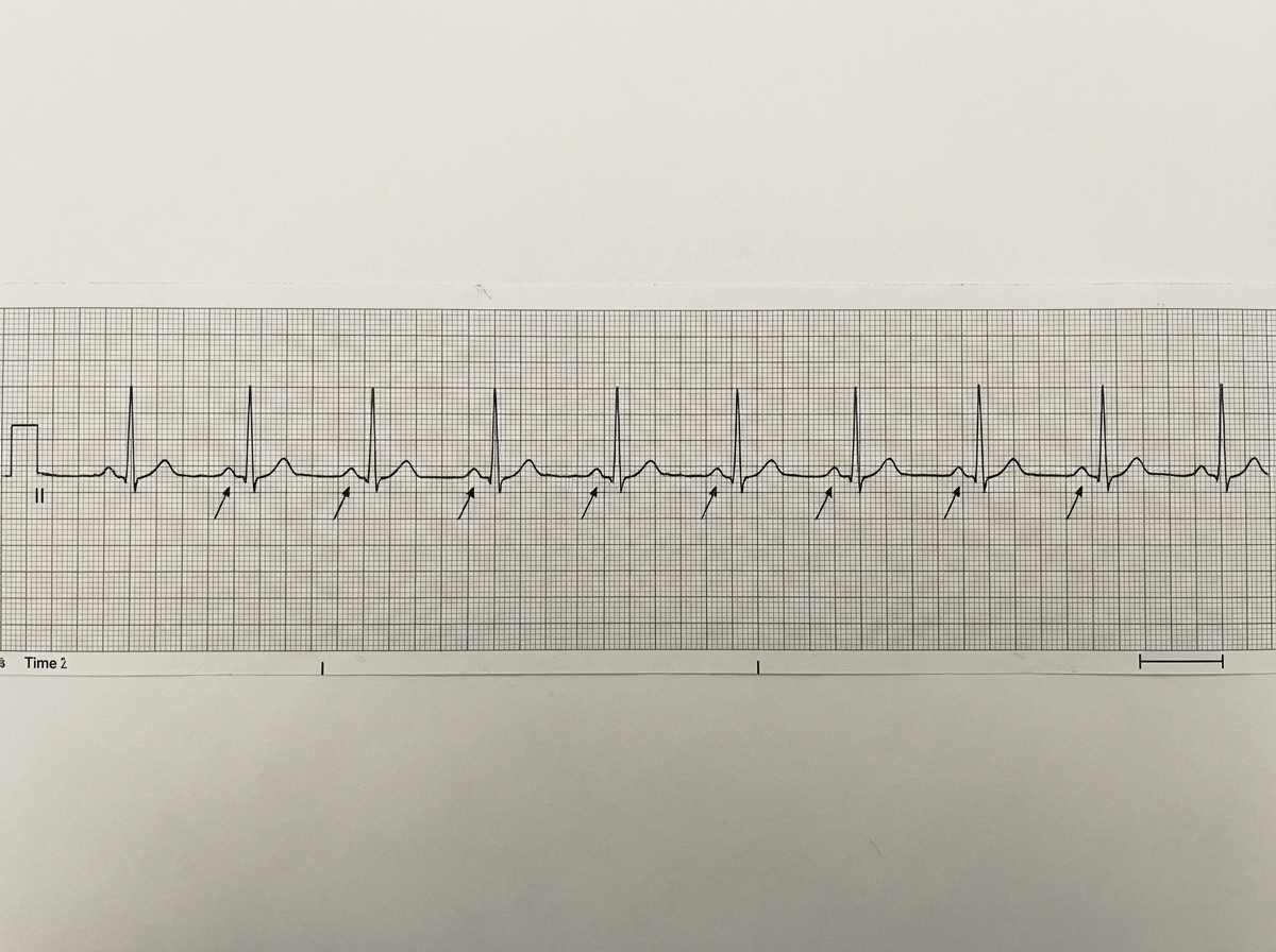 Image for question 25