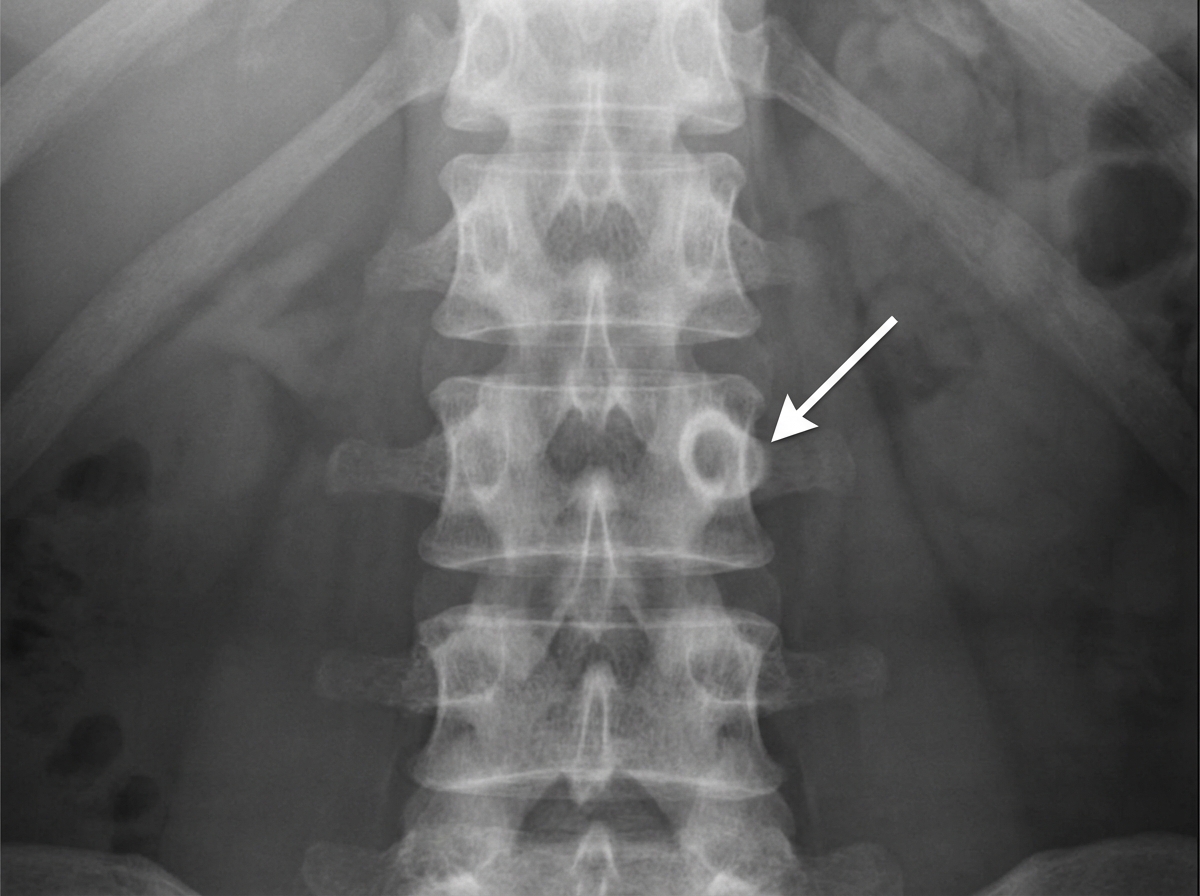 Image for question 1