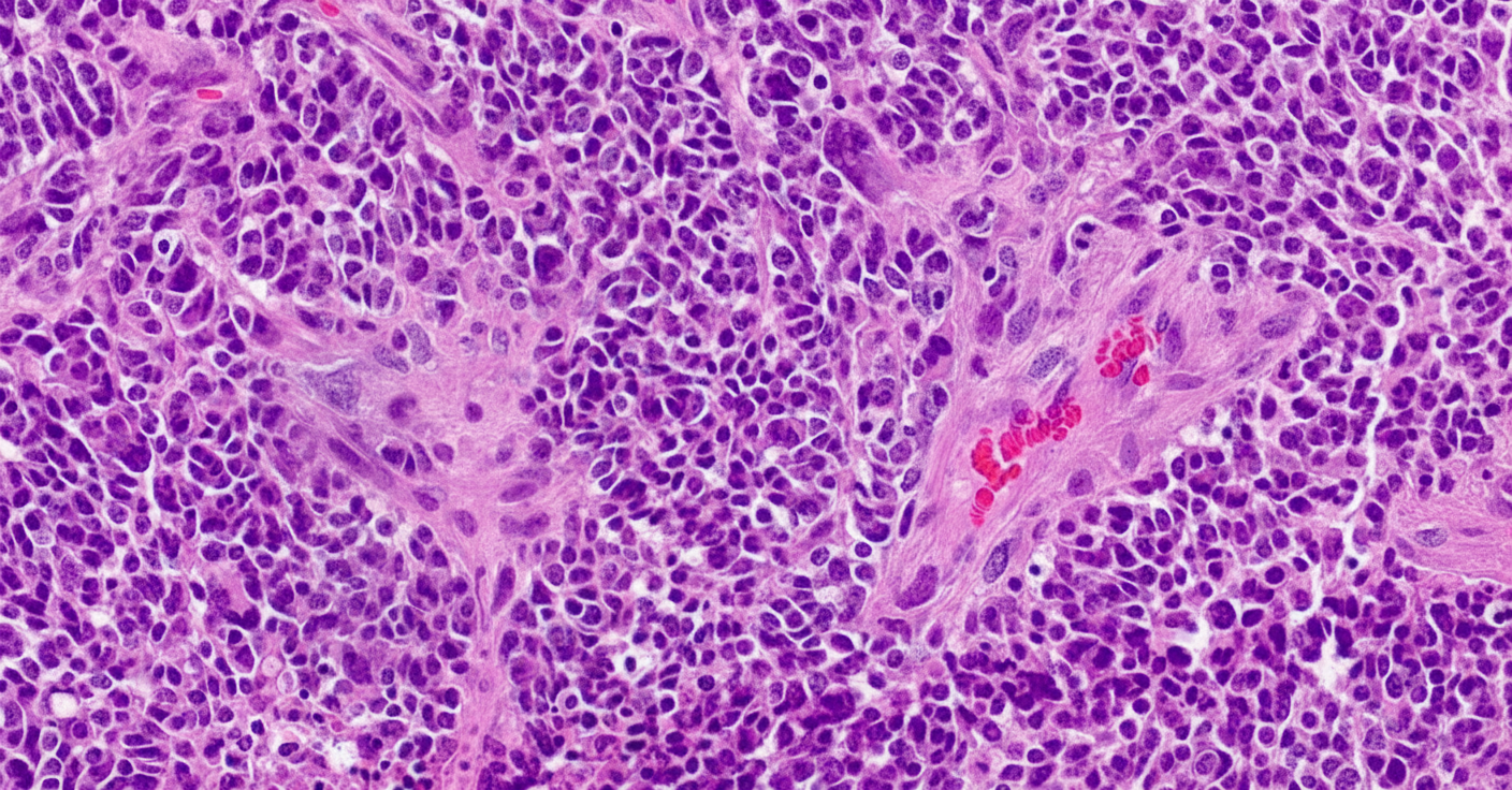 Image for question 1