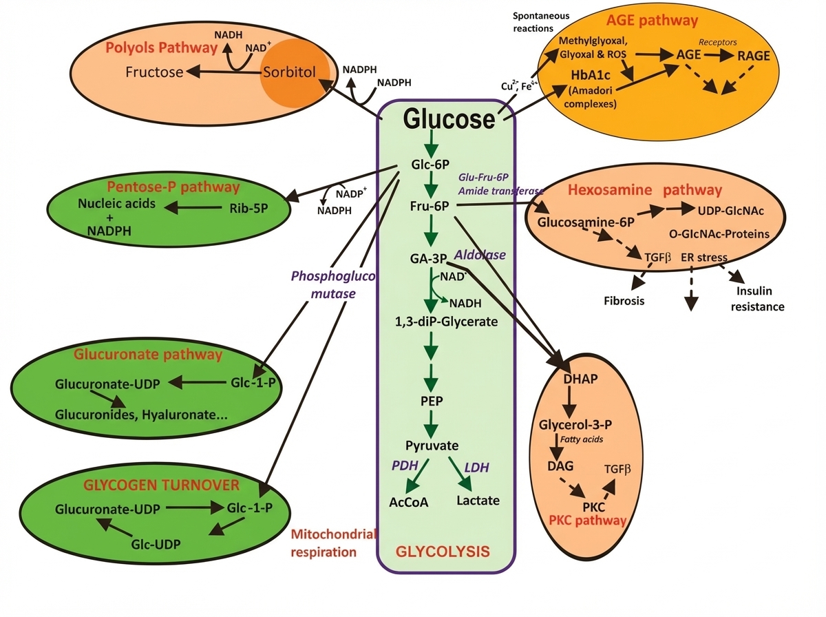 Image for question 69