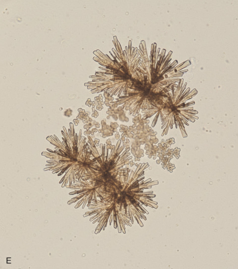 Image for question 660