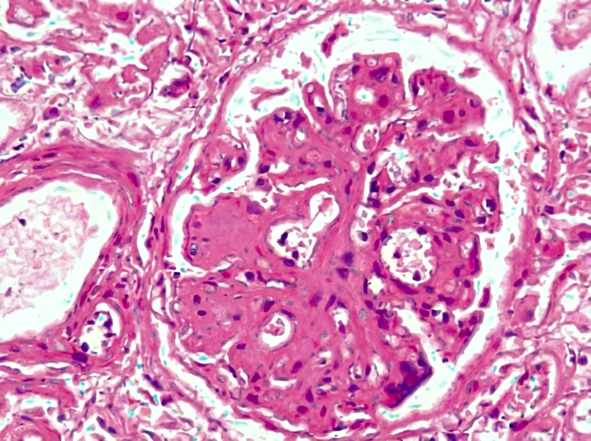 Image for question 10