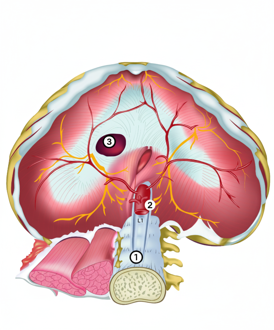 Image for question 264