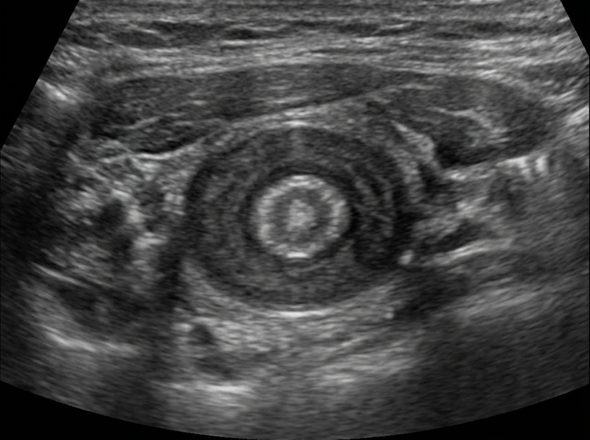 Image for question 8