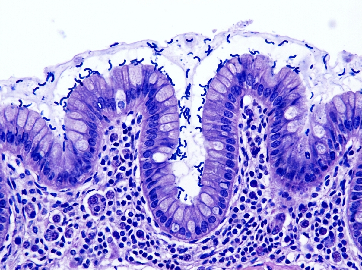 Image for question 37