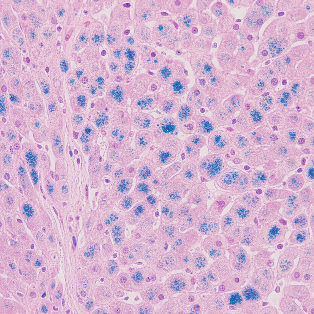 Image for question 53
