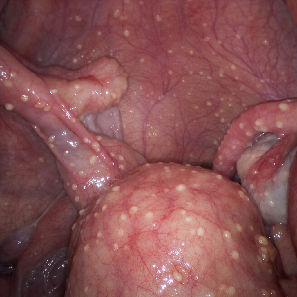 Image for question 8