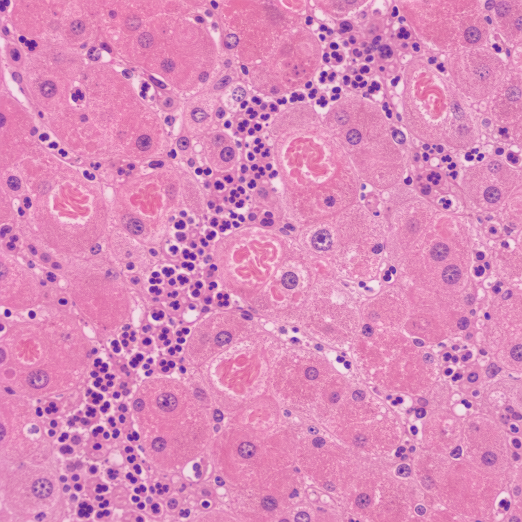 Image for question 9