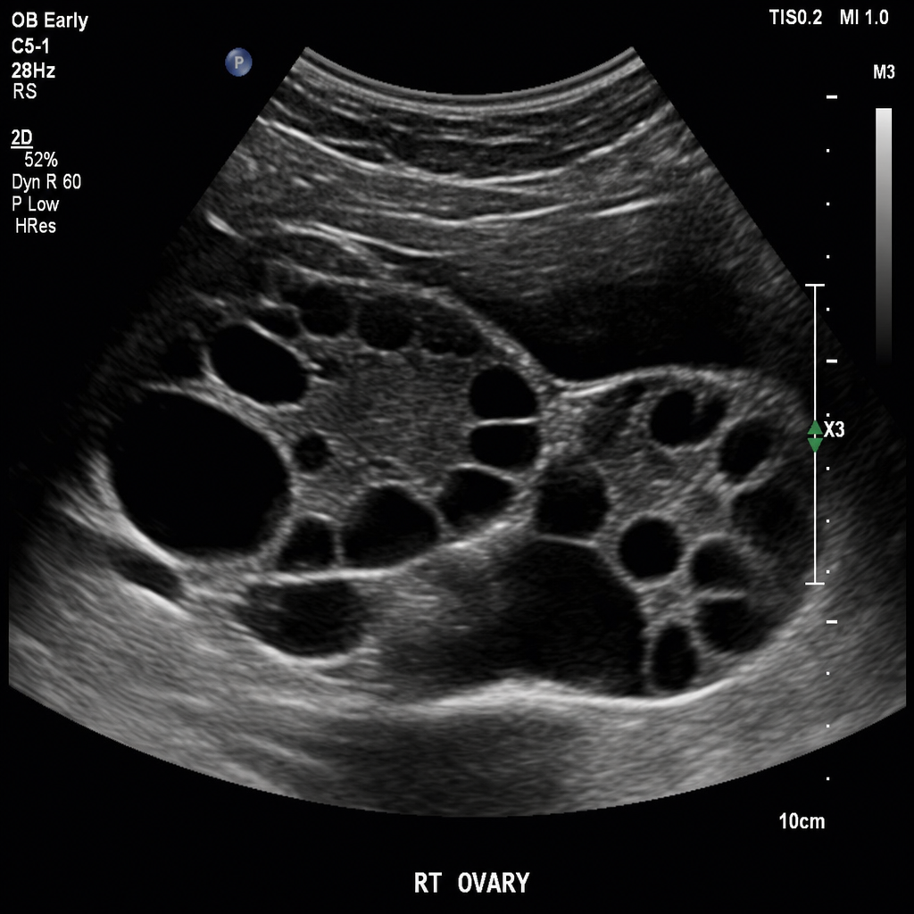 Image for question 8