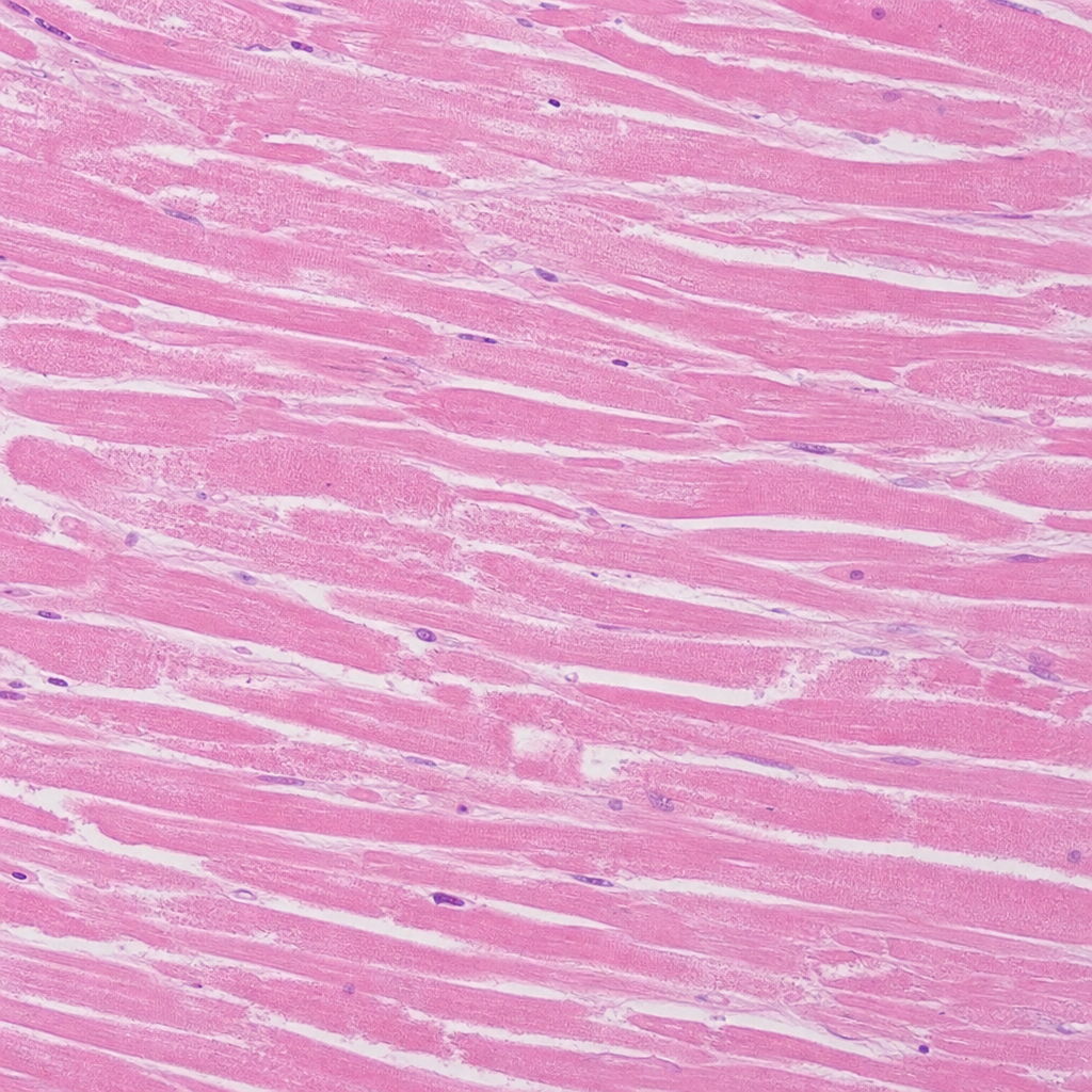 Image for question 9