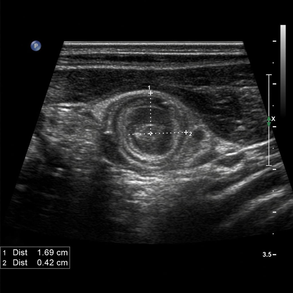 Image for question 10