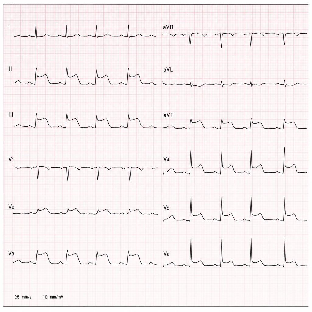 Image for question 8