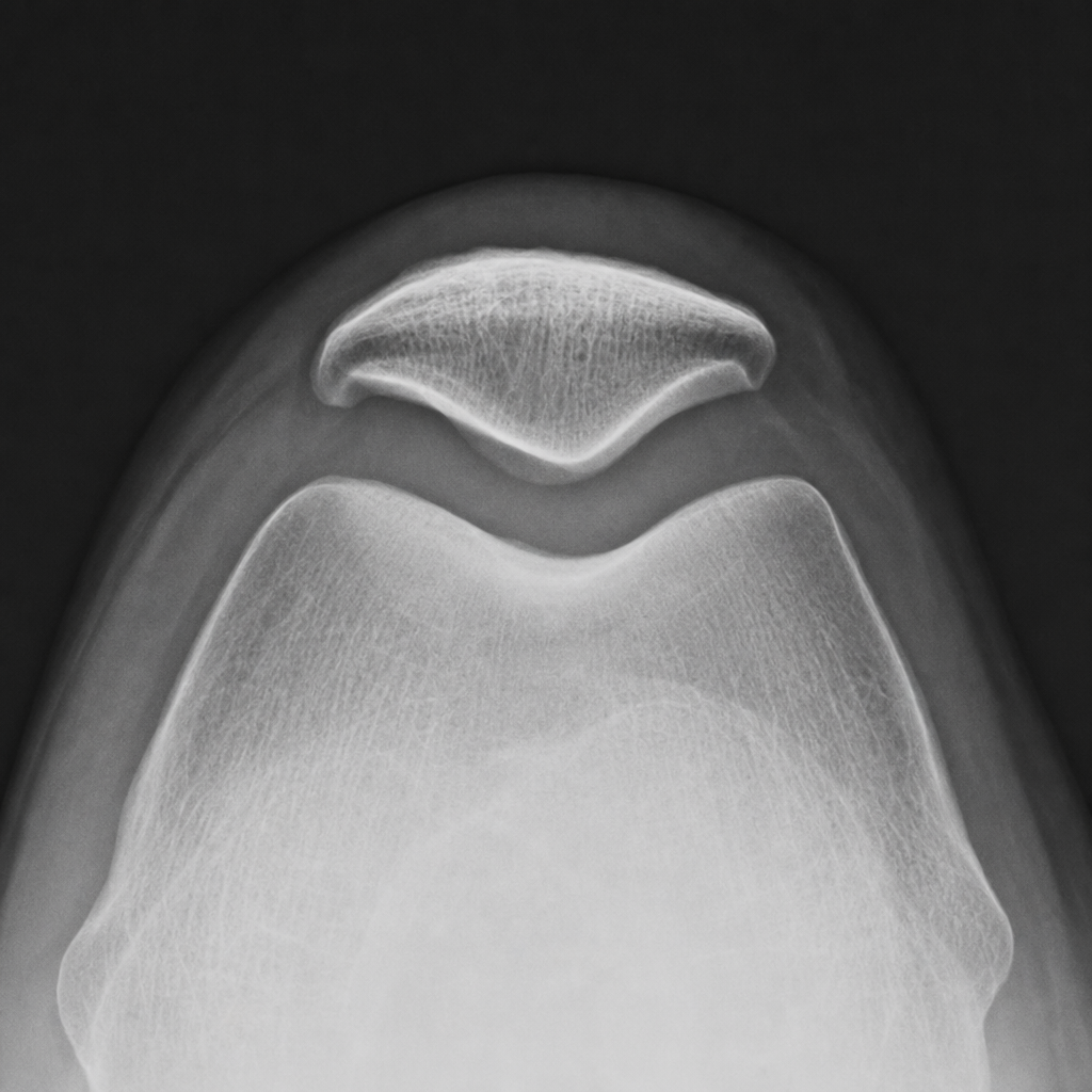 Image for question 12