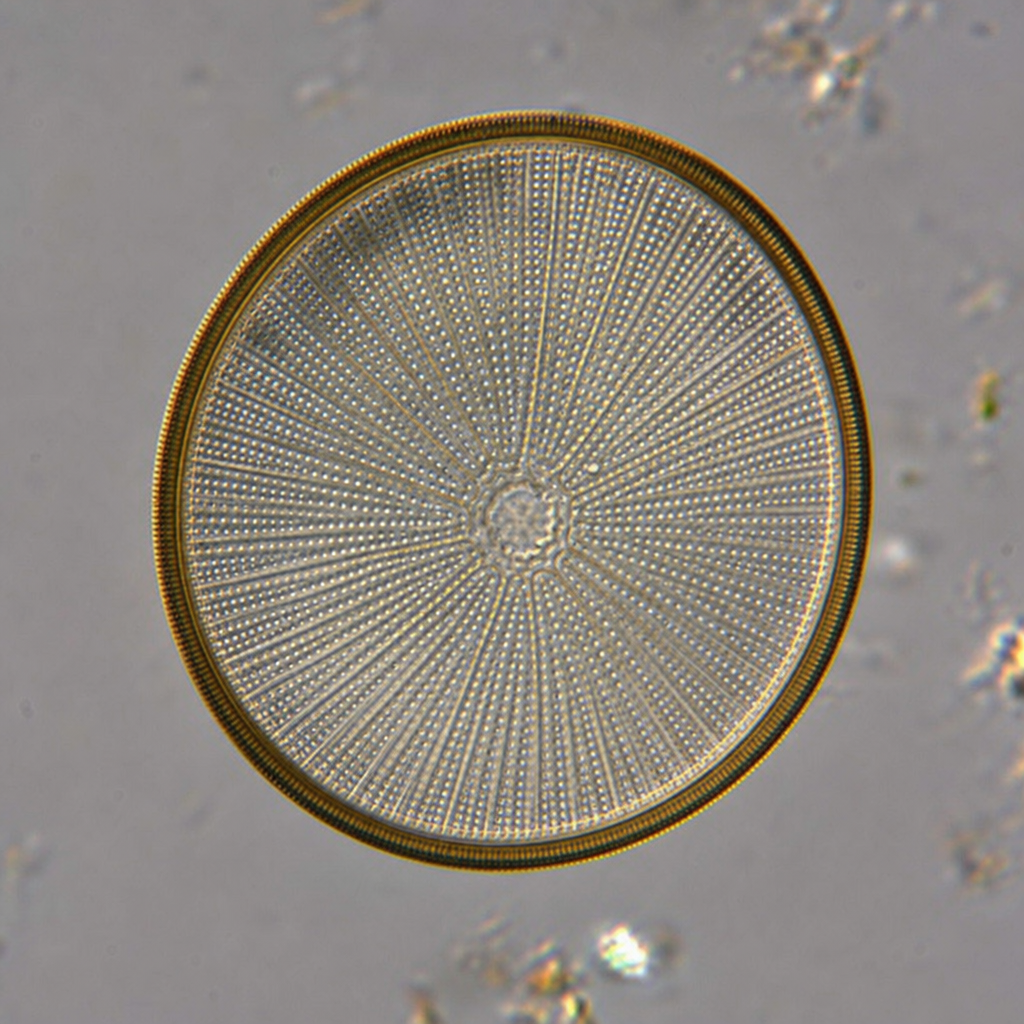 Image for question 70