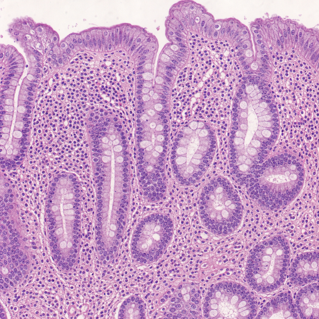 Image for question 3