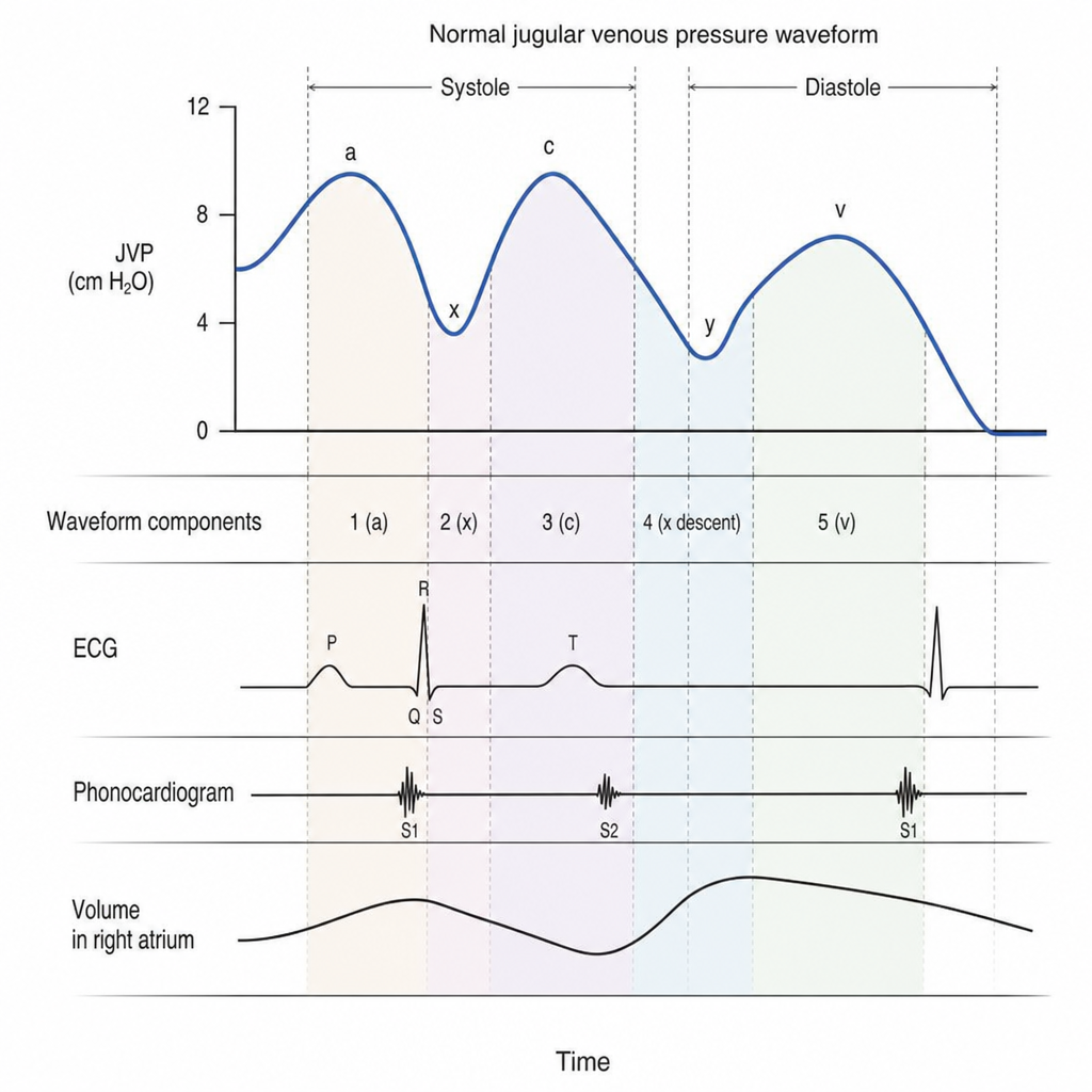 Image for question 176