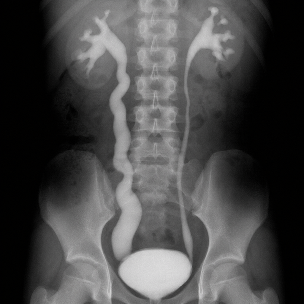Image for question 335