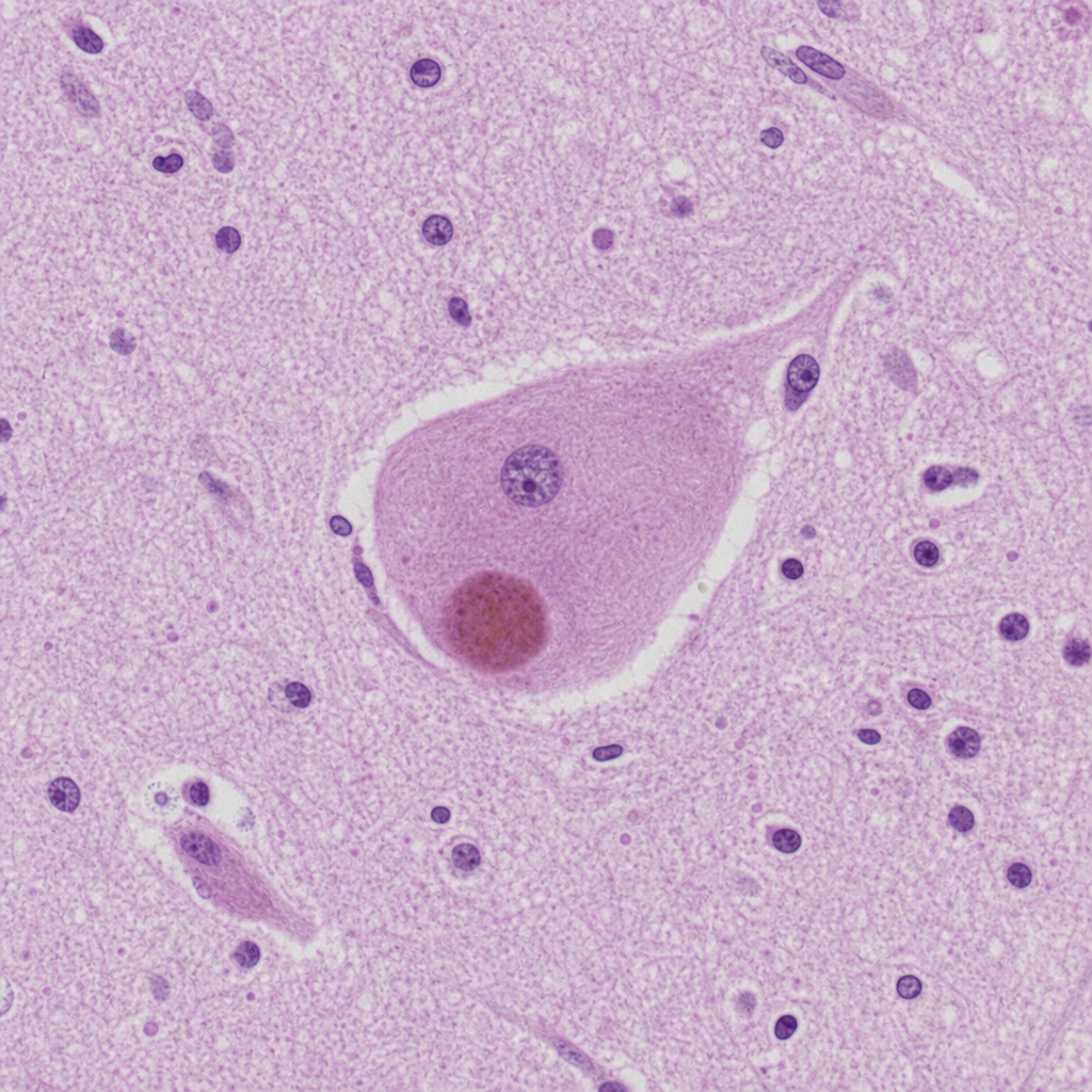 Image for question 3