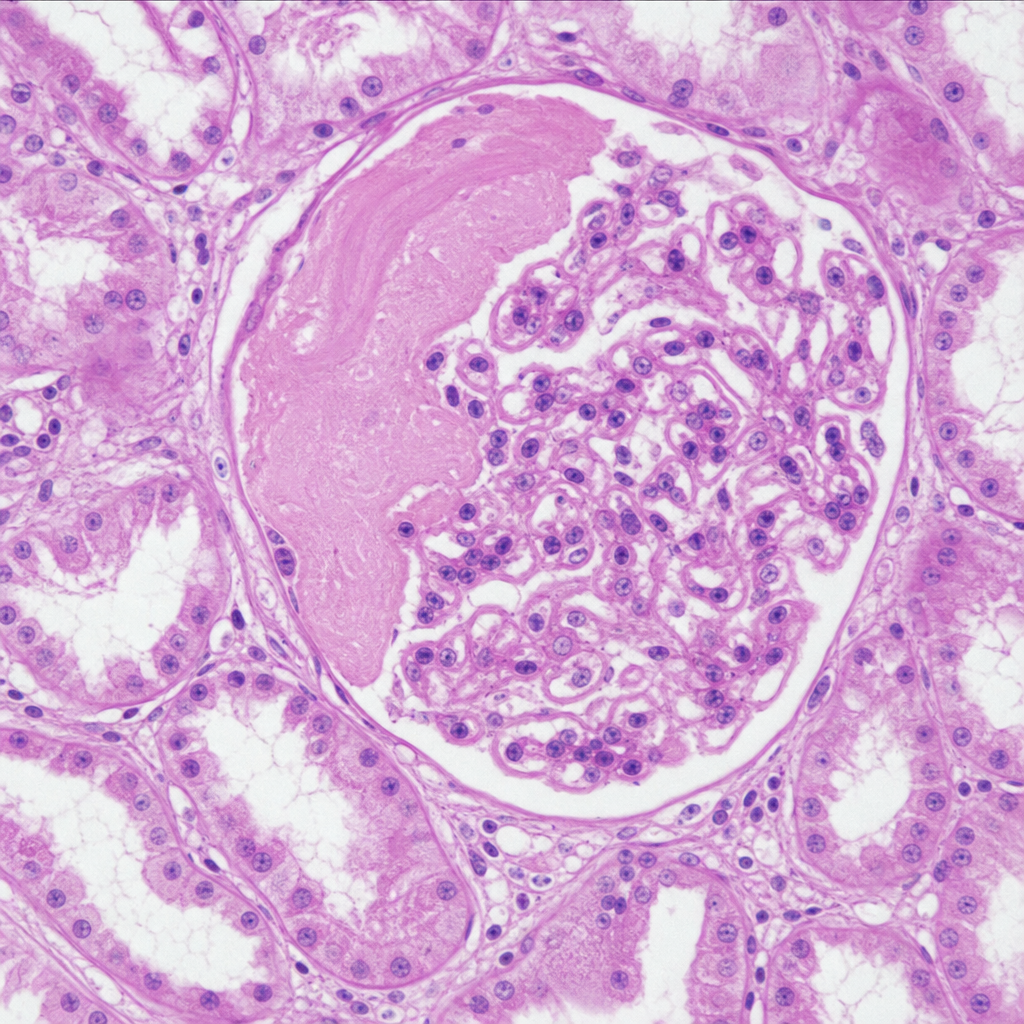 Image for question 140