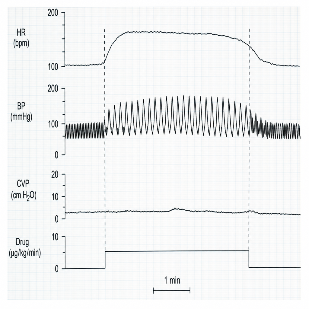 Image for question 156