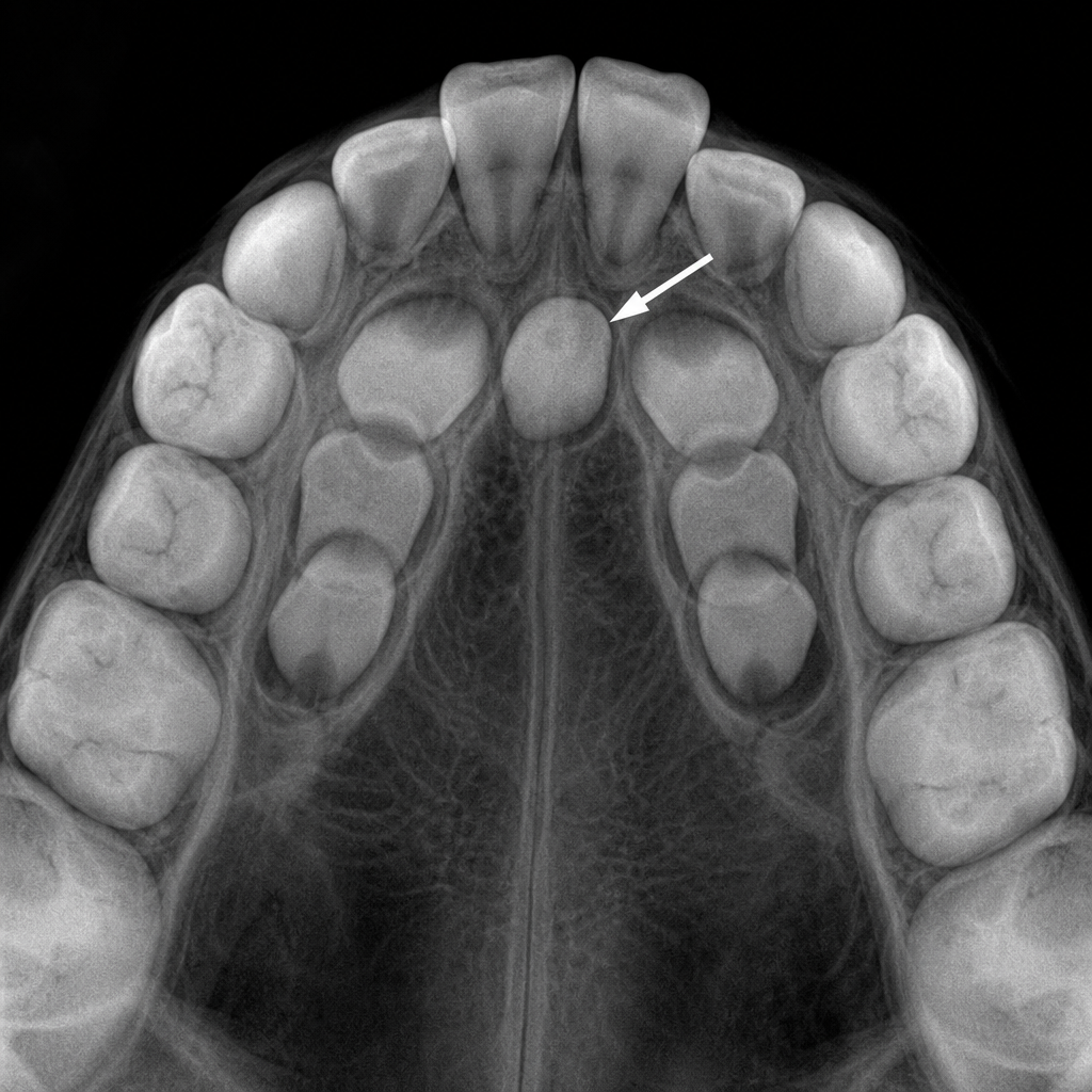 Image for question 8