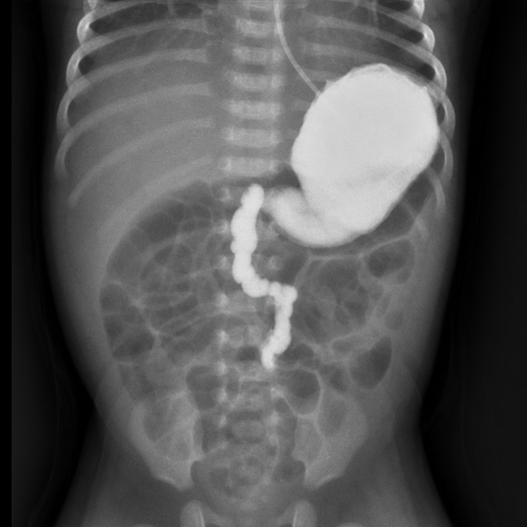 Image for question 43