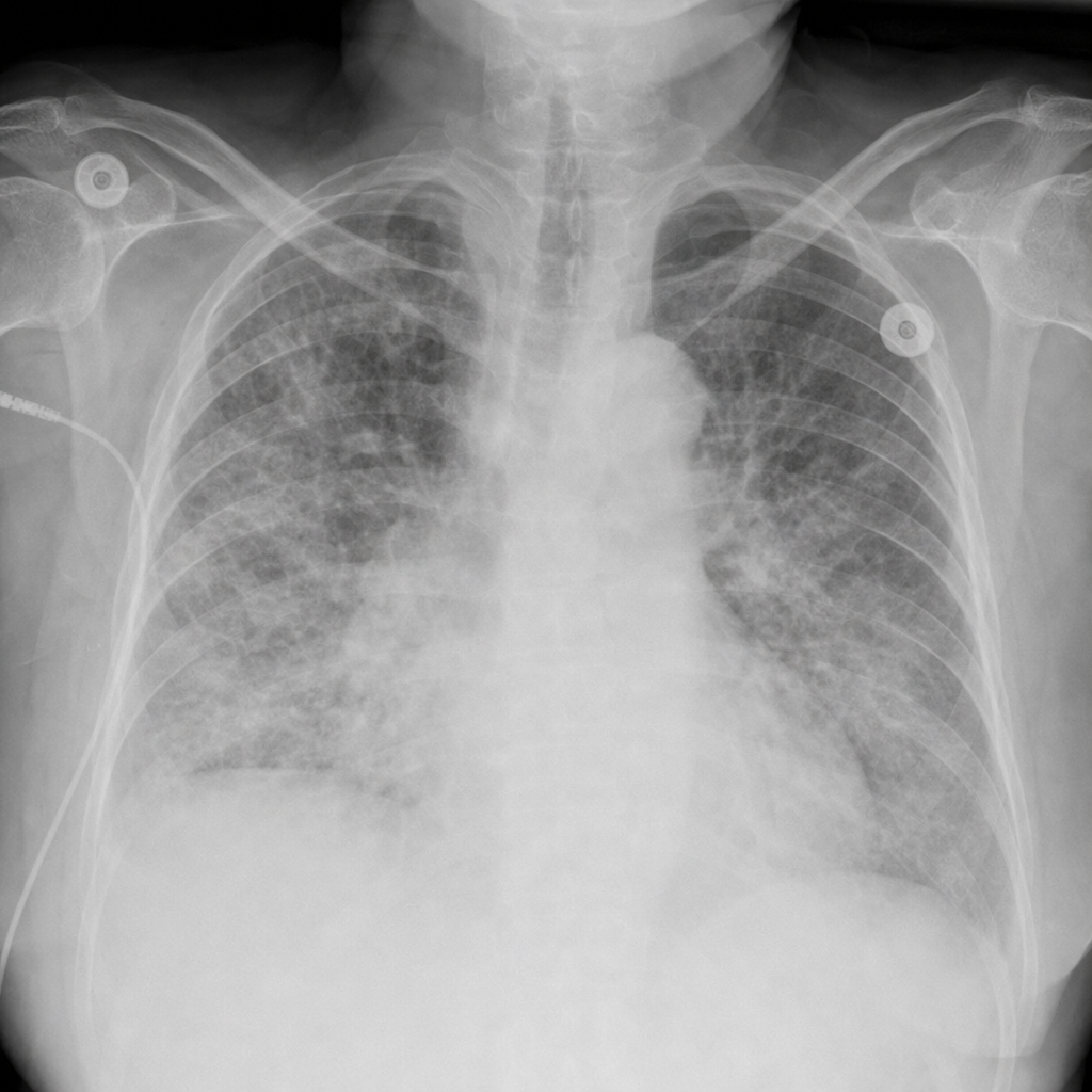 Image for question 10