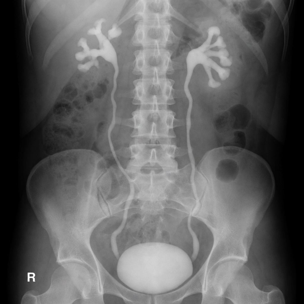 Image for question 319