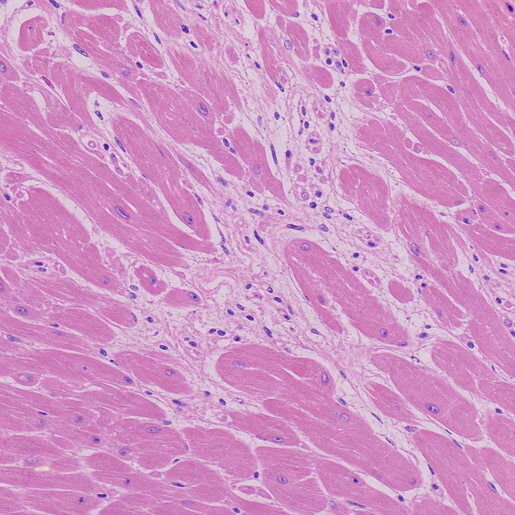 Image for question 1