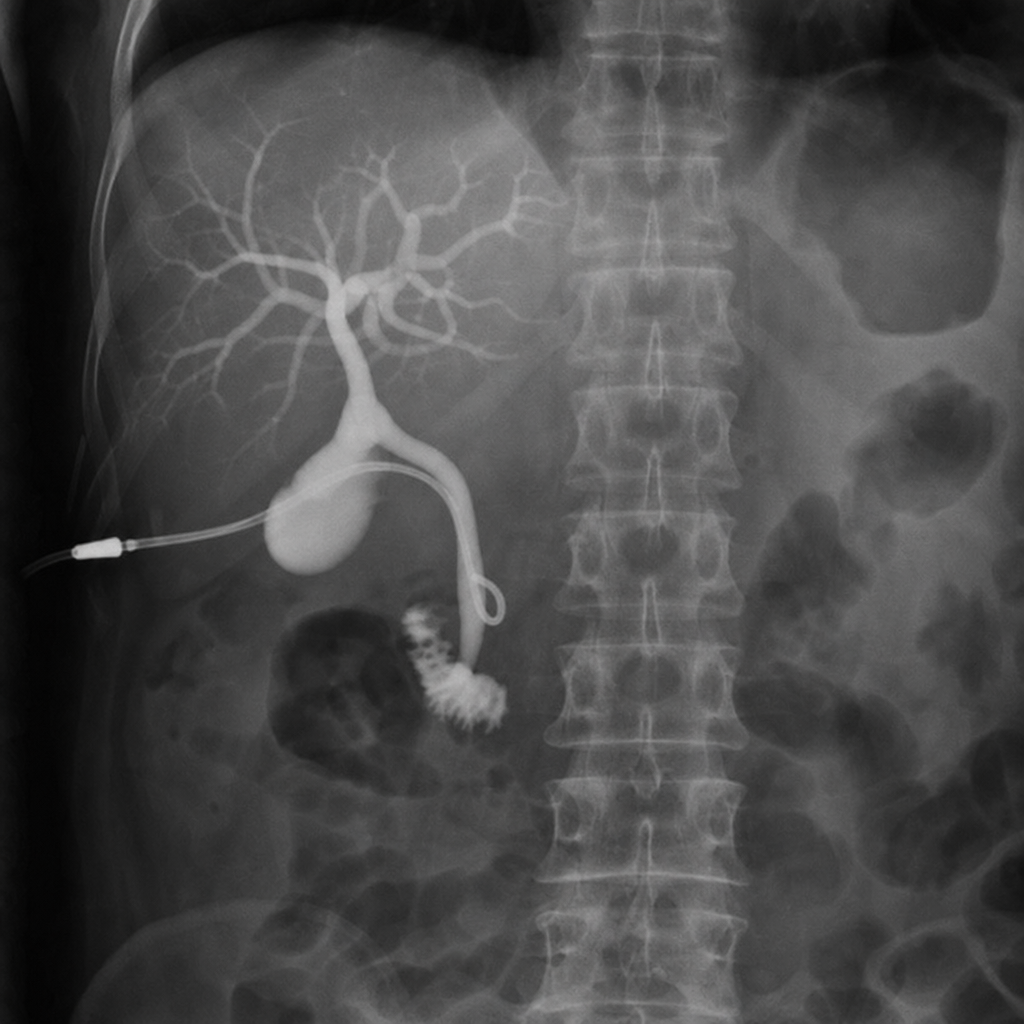 Image for question 262