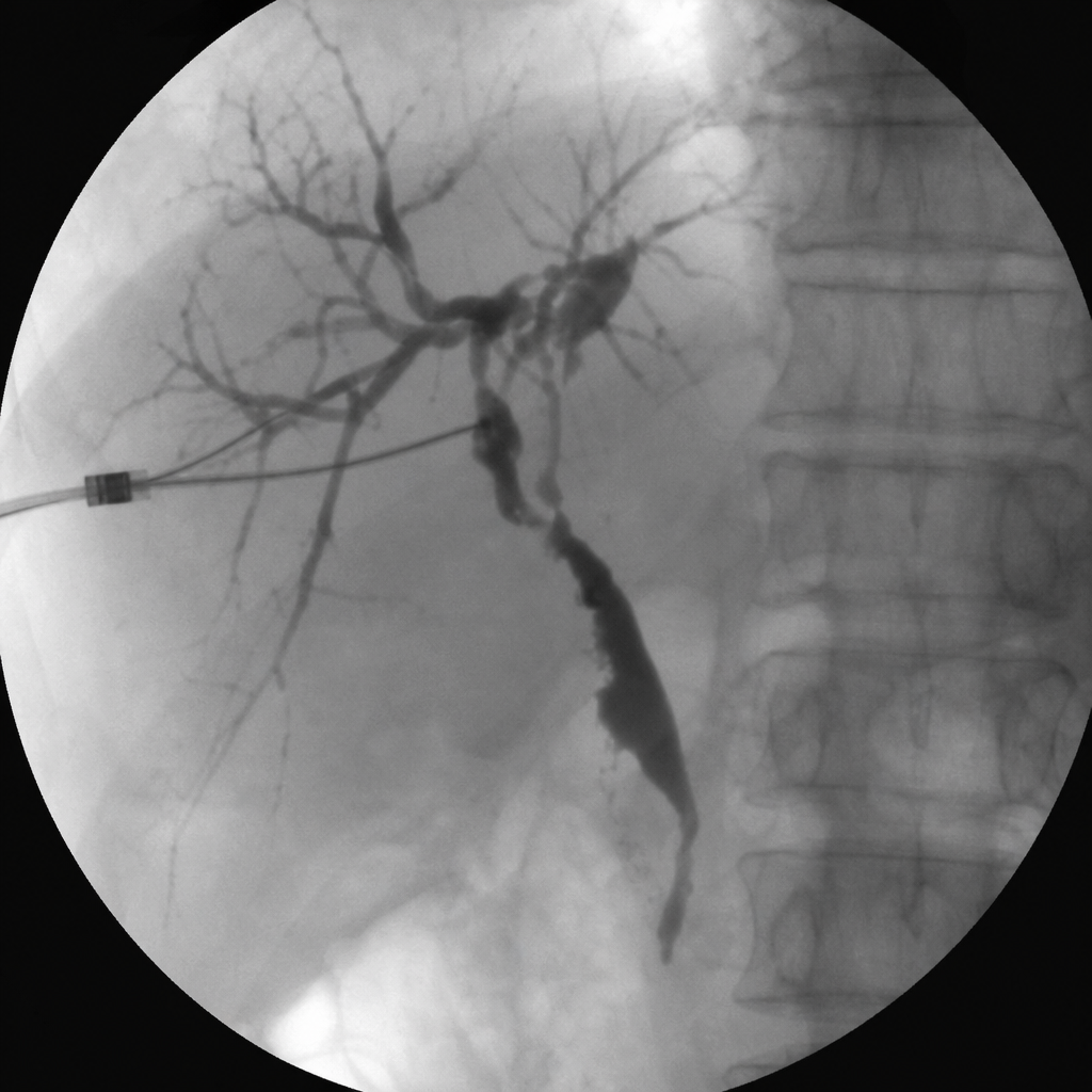 Image for question 3