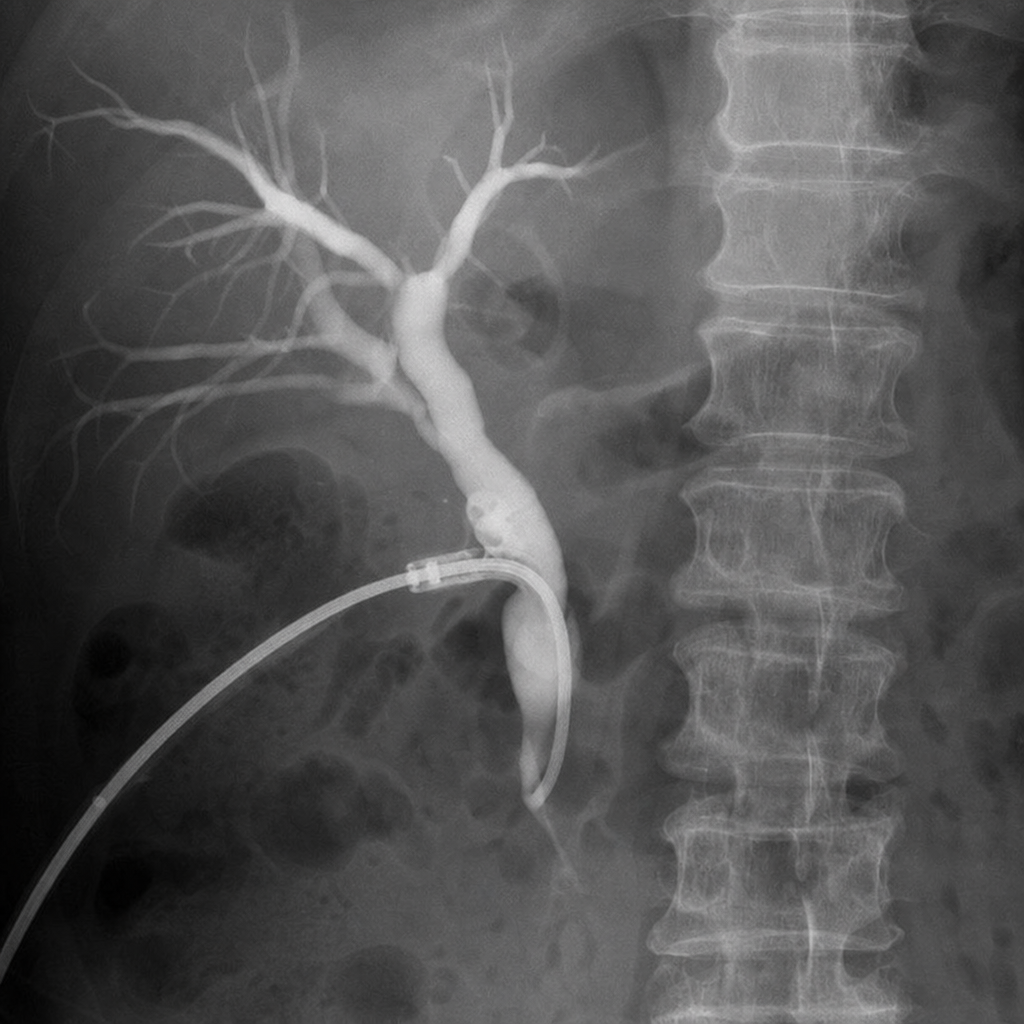 Image for question 380