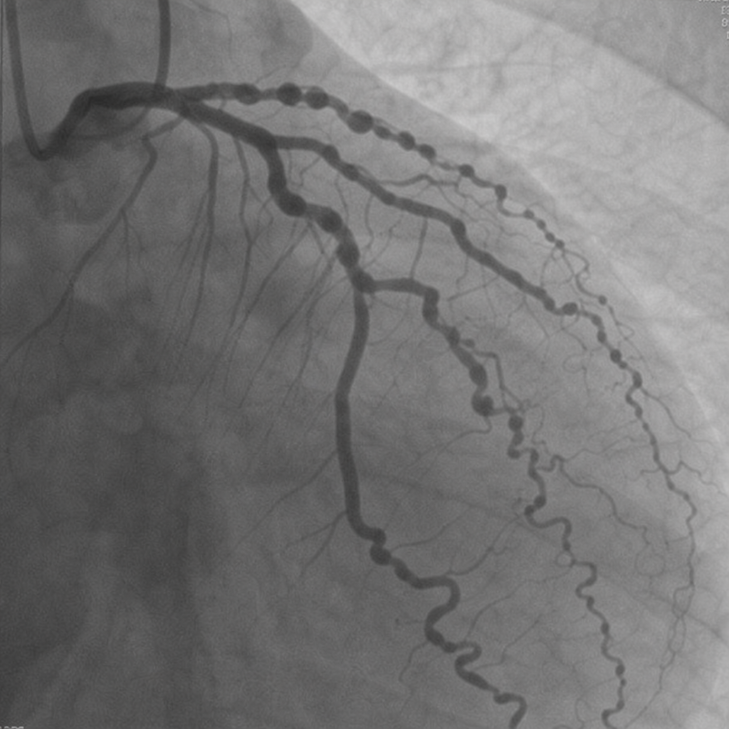 Image for question 8