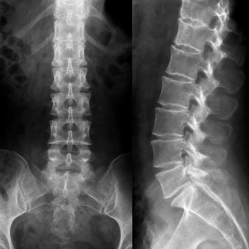 Image for question 8