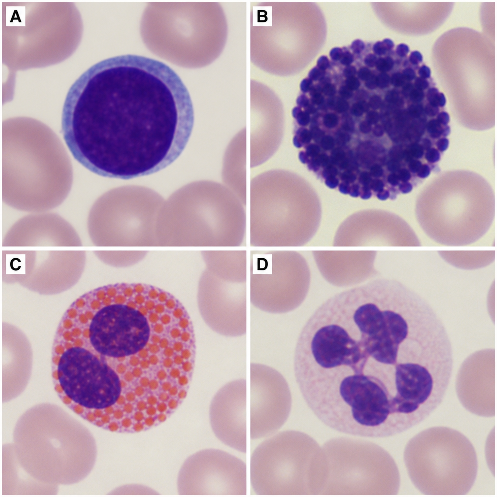 Image for question 6
