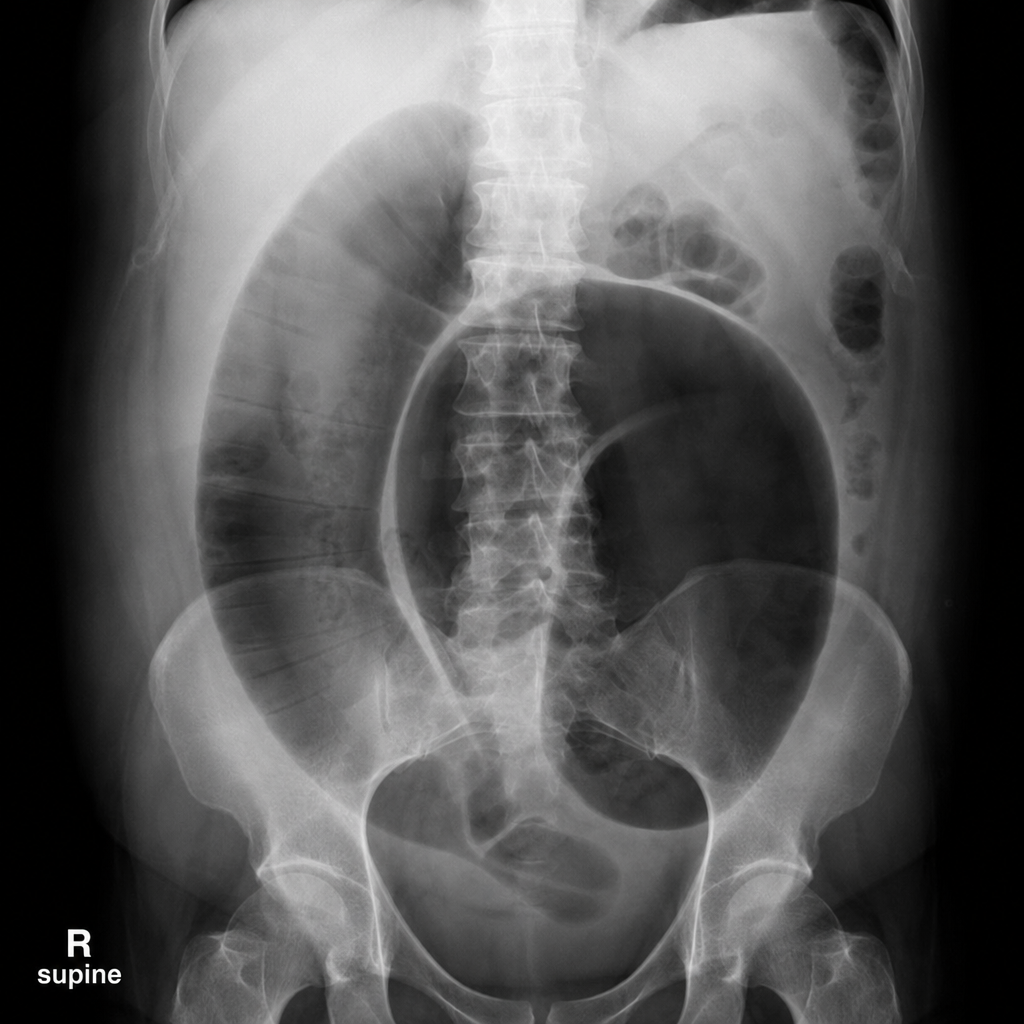 Image for question 234