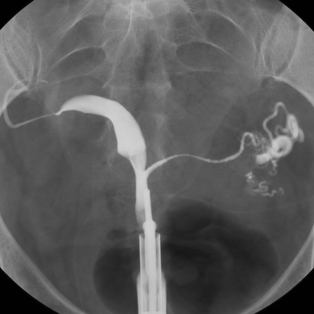 Image for question 15